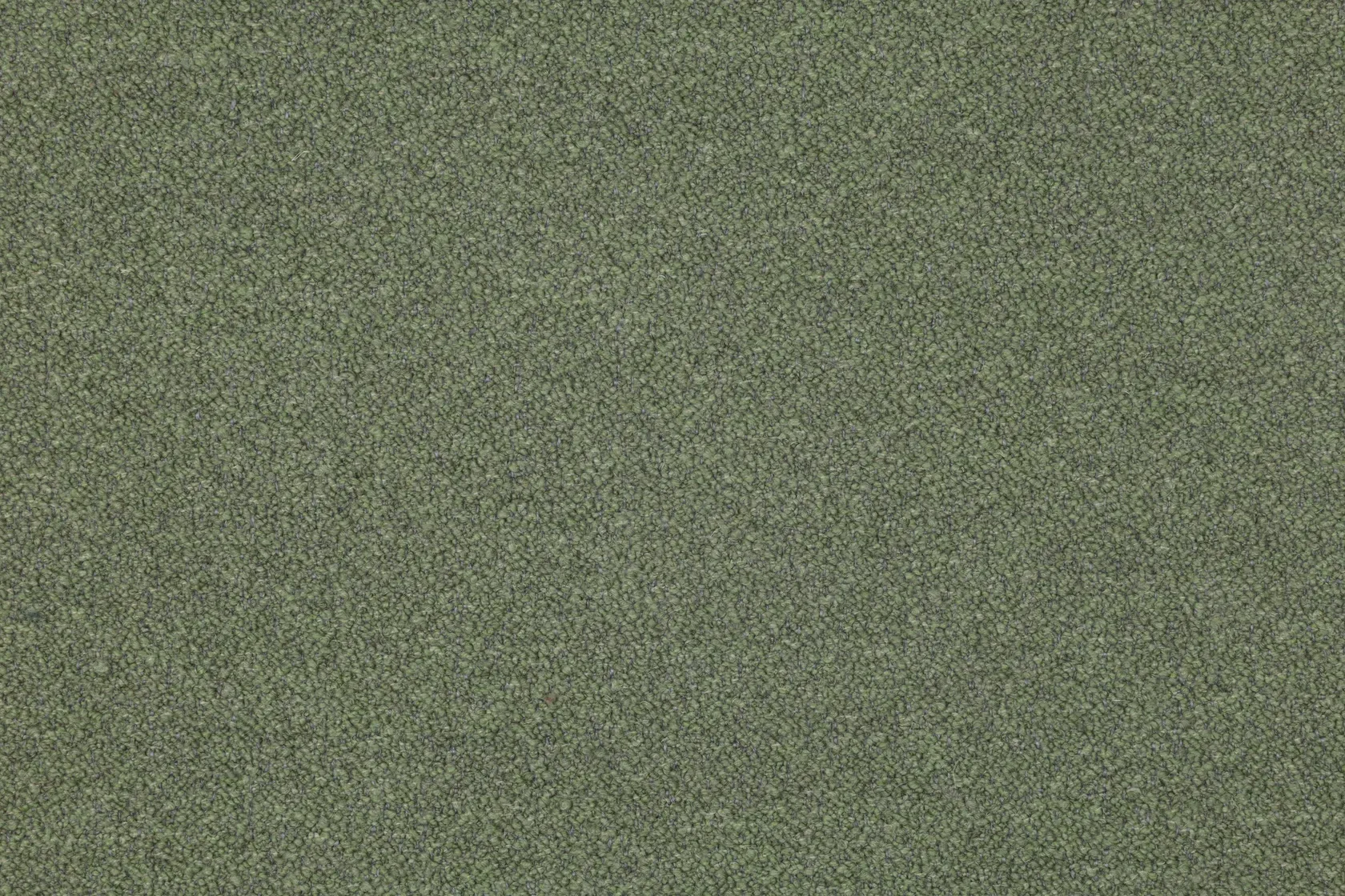 Ors 02 26