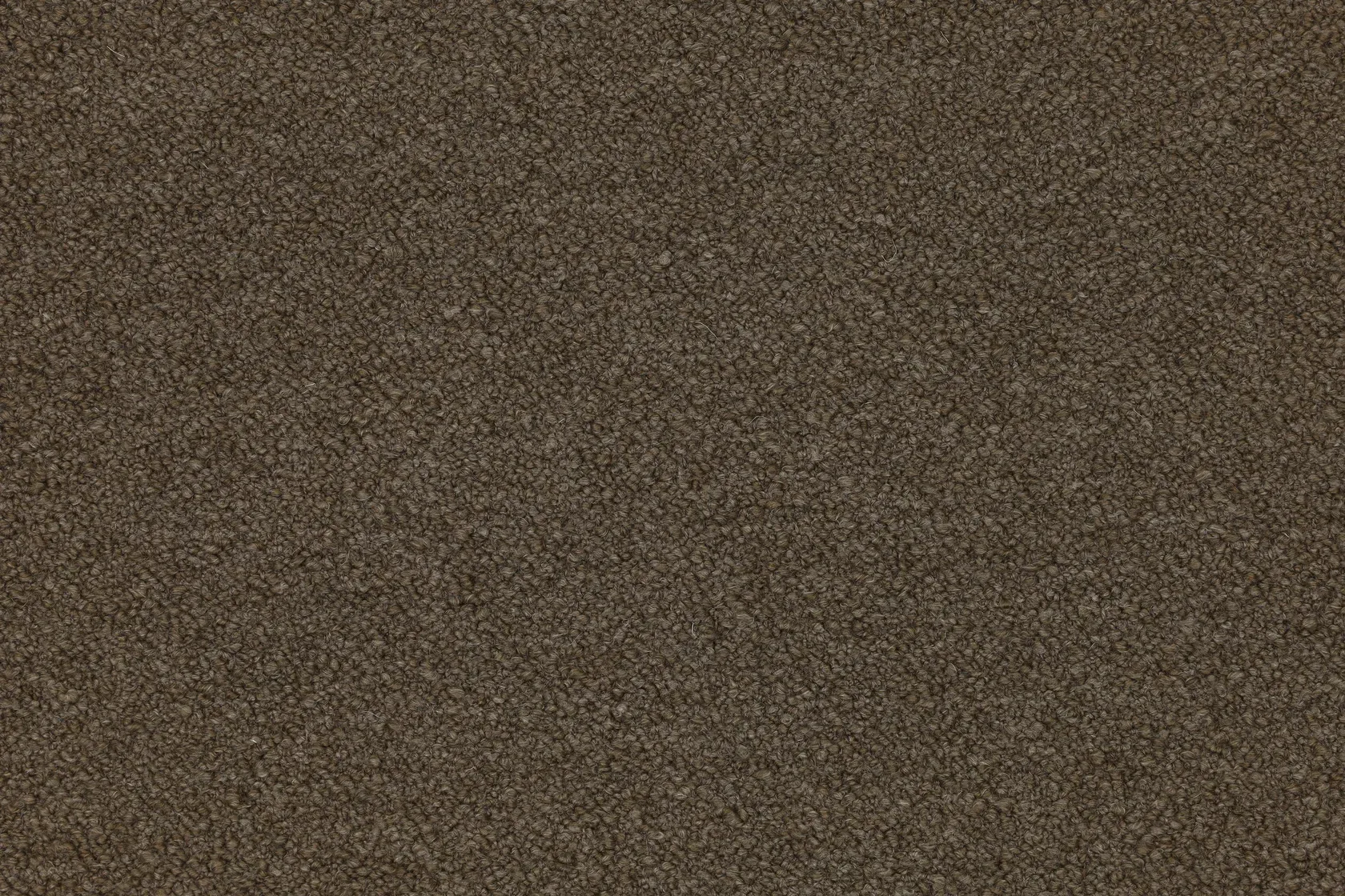 Ors 07 11